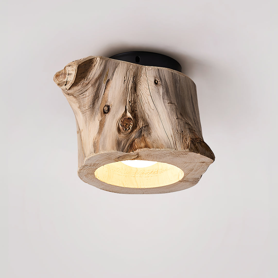 Tarn Hollow Ceiing Lamp - Vakkerlight