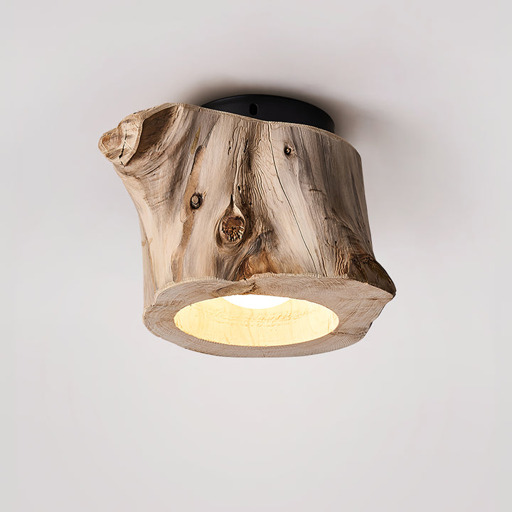 Tarn Hollow Ceiing Lamp - Vakkerlight