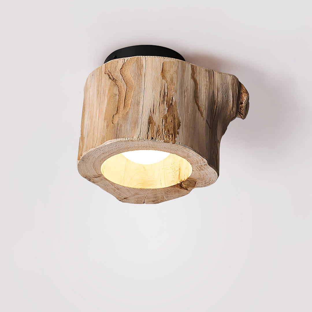Tarn Hollow Ceiing Lamp - Vakkerlight