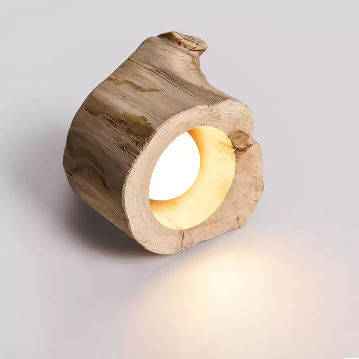 Tarn Hollow Ceiing Lamp - Vakkerlight
