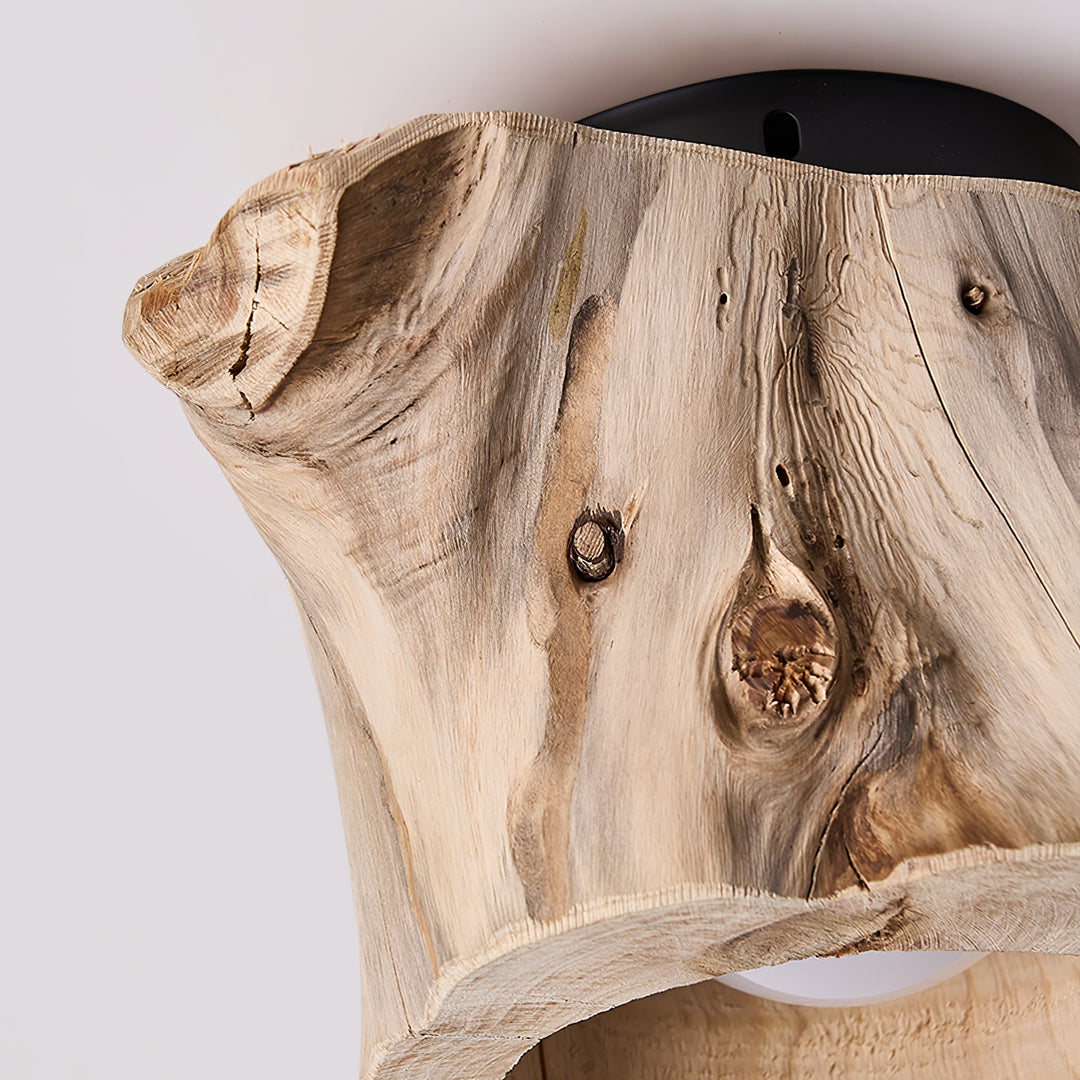 Tarn Hollow Ceiing Lamp - Vakkerlight