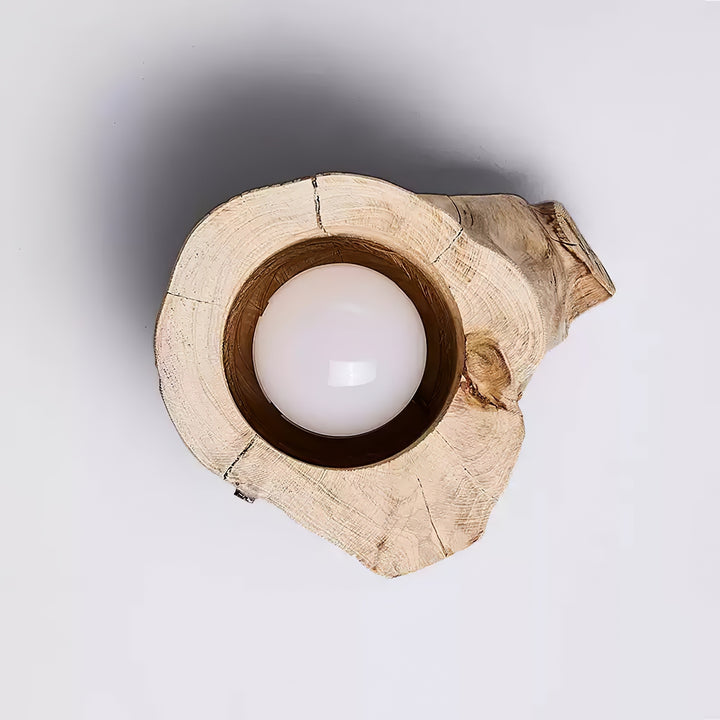 Tarn Hollow Ceiing Lamp - Vakkerlight