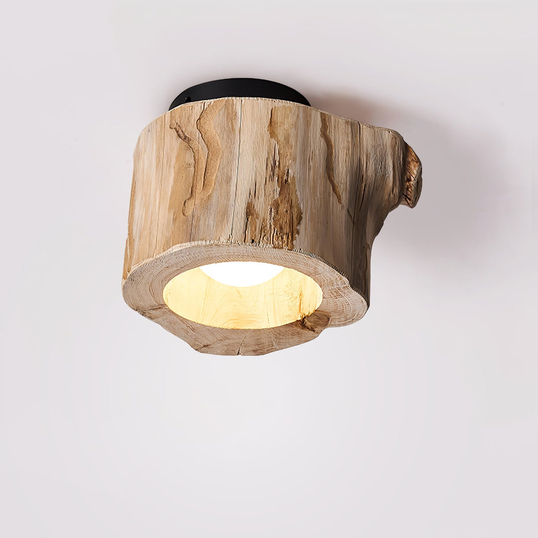 Tarn Hollow Ceiing Lamp - Vakkerlight