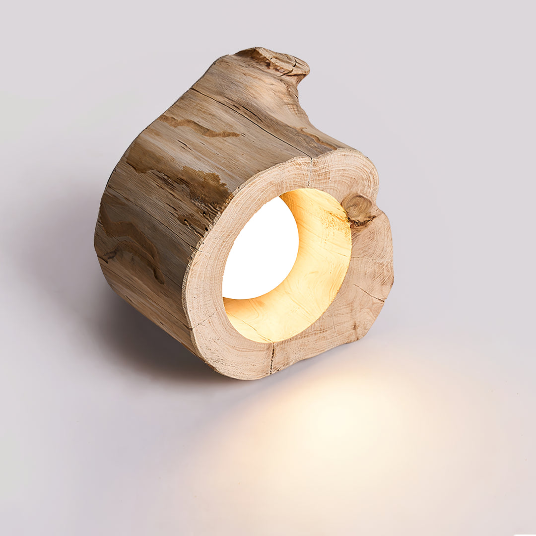 Tarn Hollow Ceiing Lamp - Vakkerlight