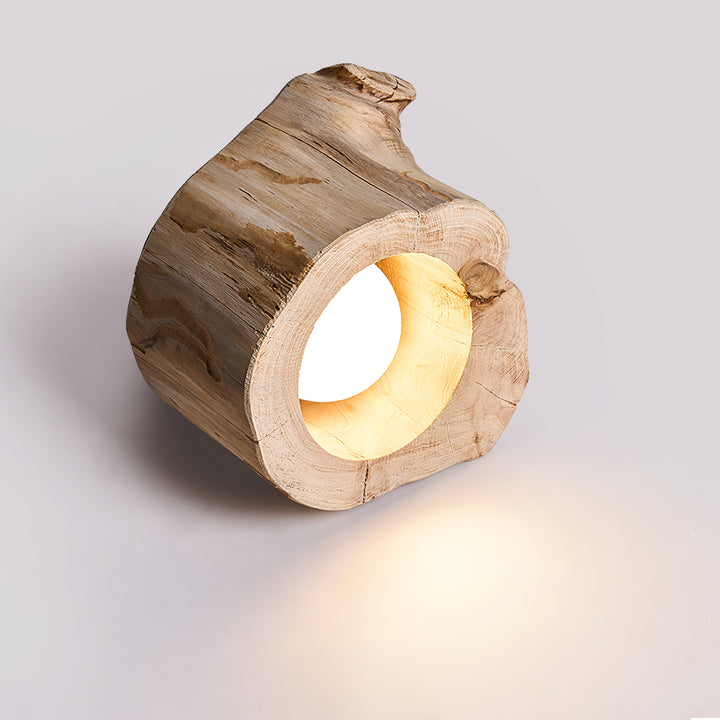 Tarn Hollow Ceiing Lamp - Vakkerlight
