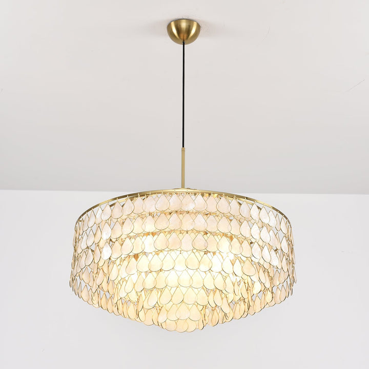 Teardrops Shell Chandelier - Vakkerlight