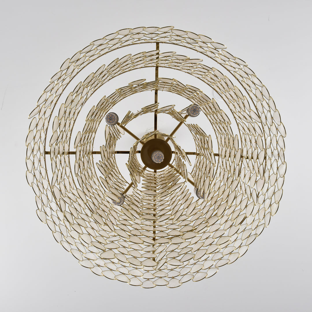 Teardrops Shell Chandelier - Vakkerlight