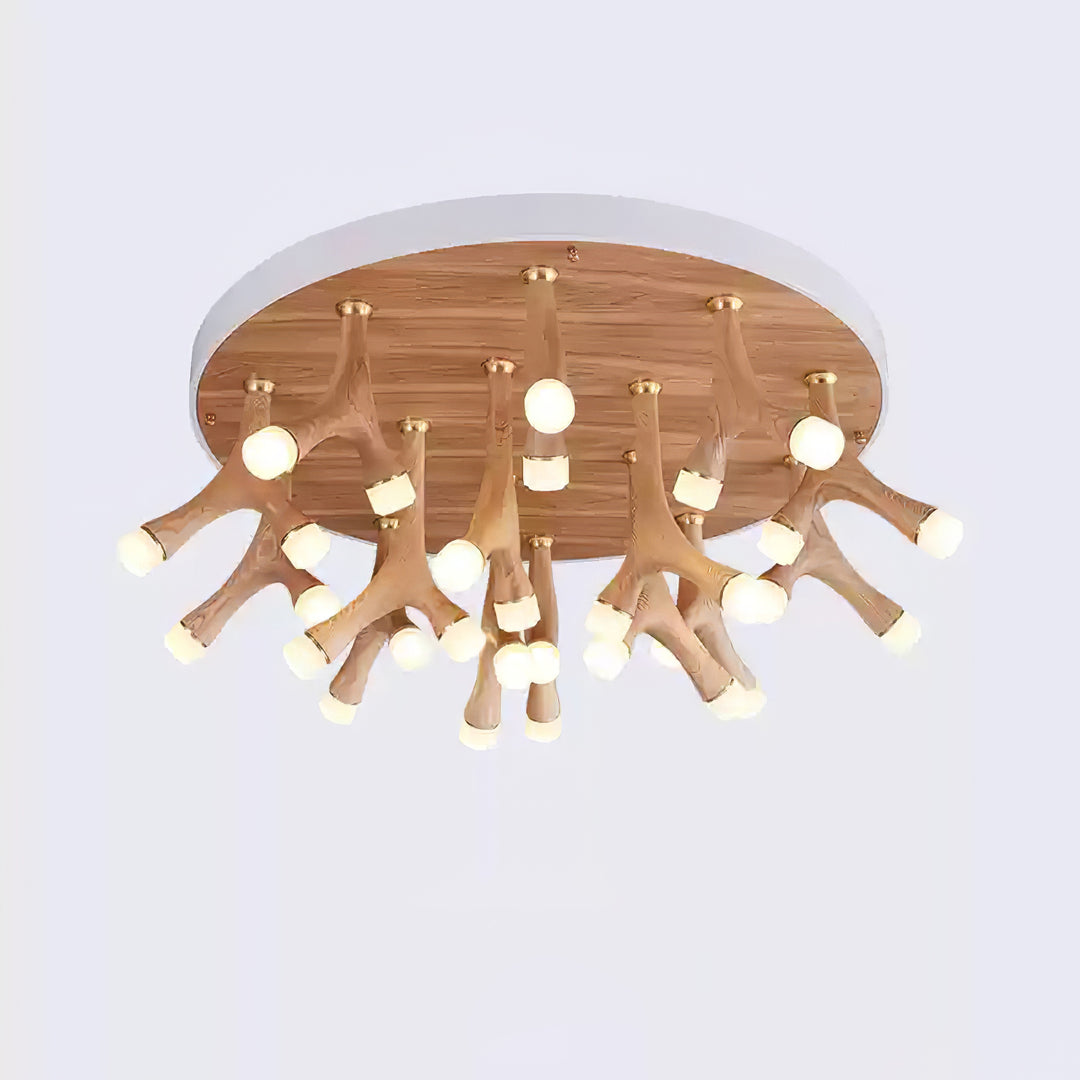 Tentacle Ceiling Lamp - Vakkerlight