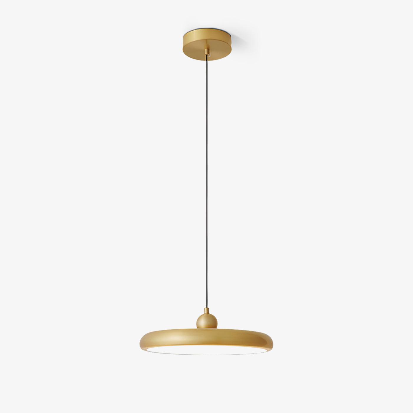 Thin Disc Pendant Lamp – Vakkerlight