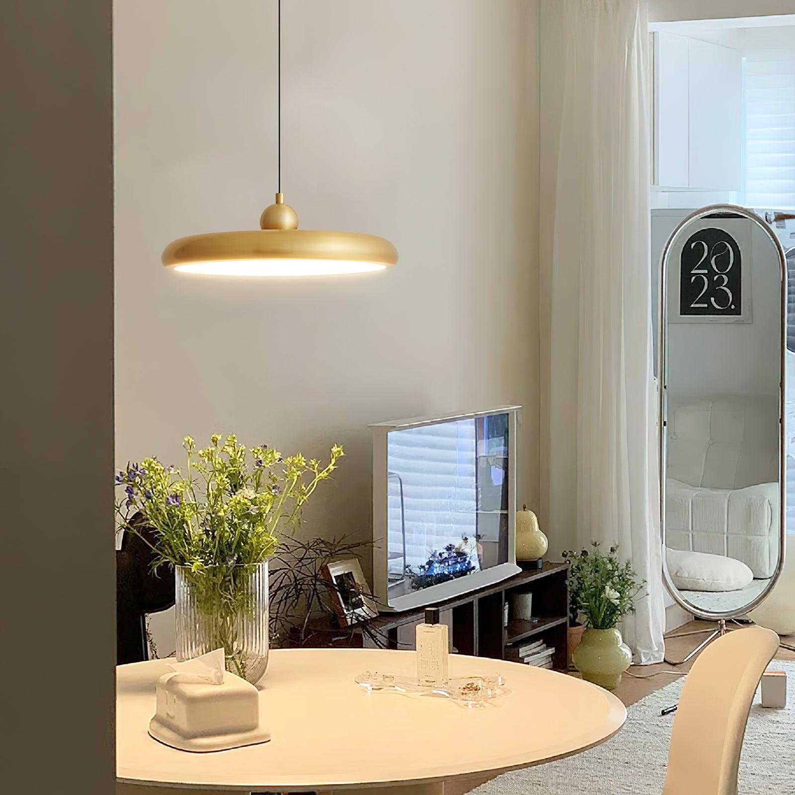 Thin Disc Pendant Lamp – Vakkerlight