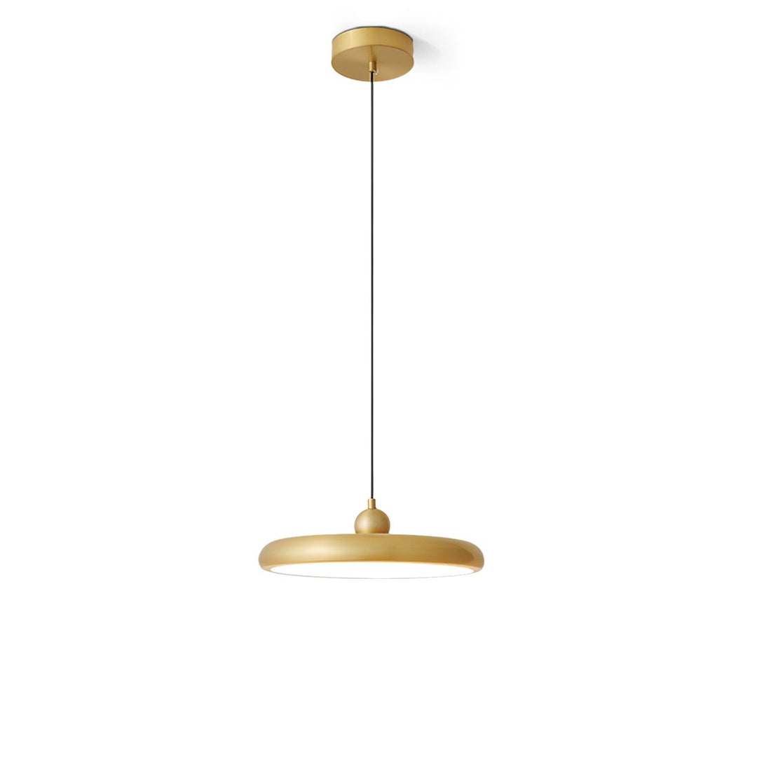 Thin Disc Pendant Lamp - Vakkerlight