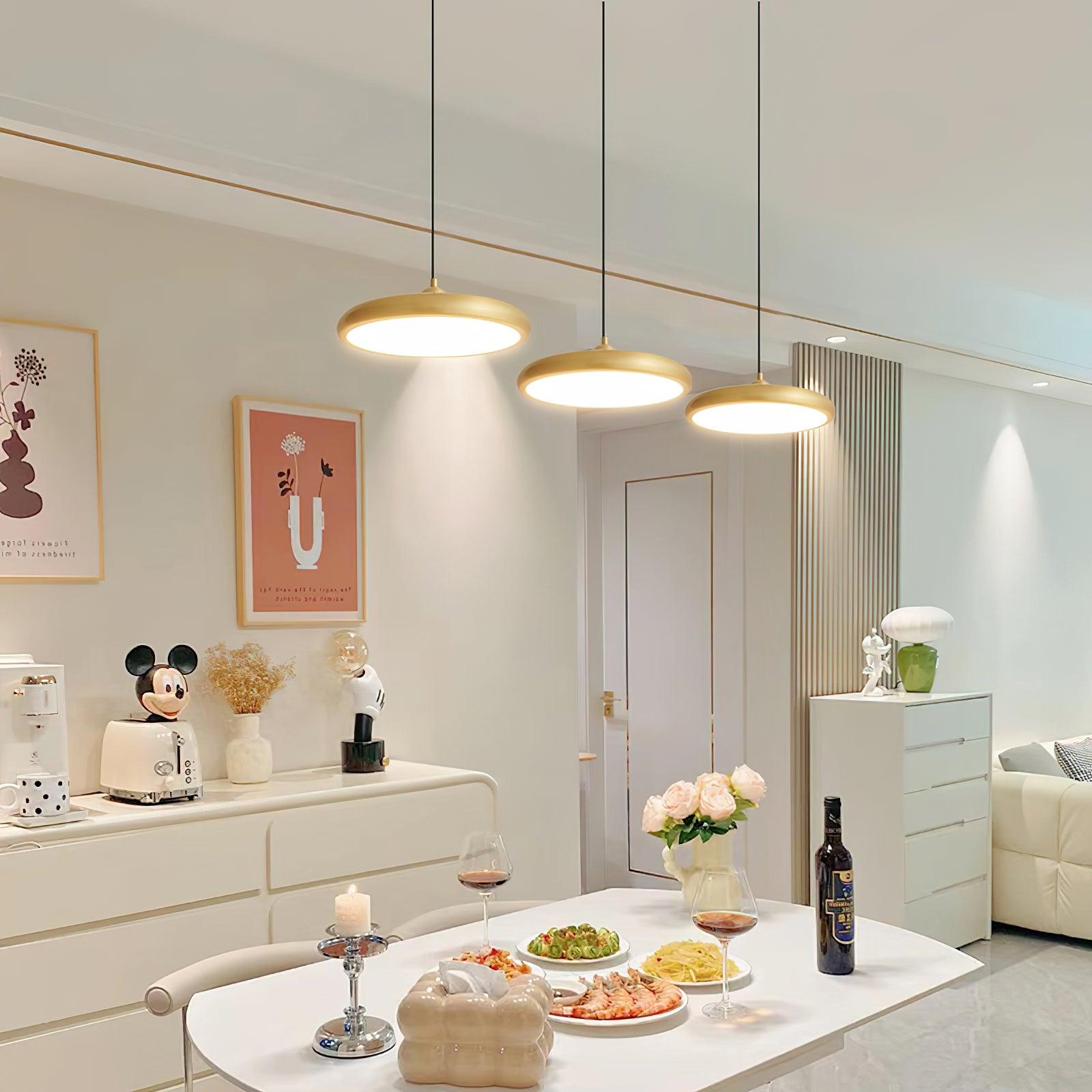 Thin Disc Pendant Lamp – Vakkerlight