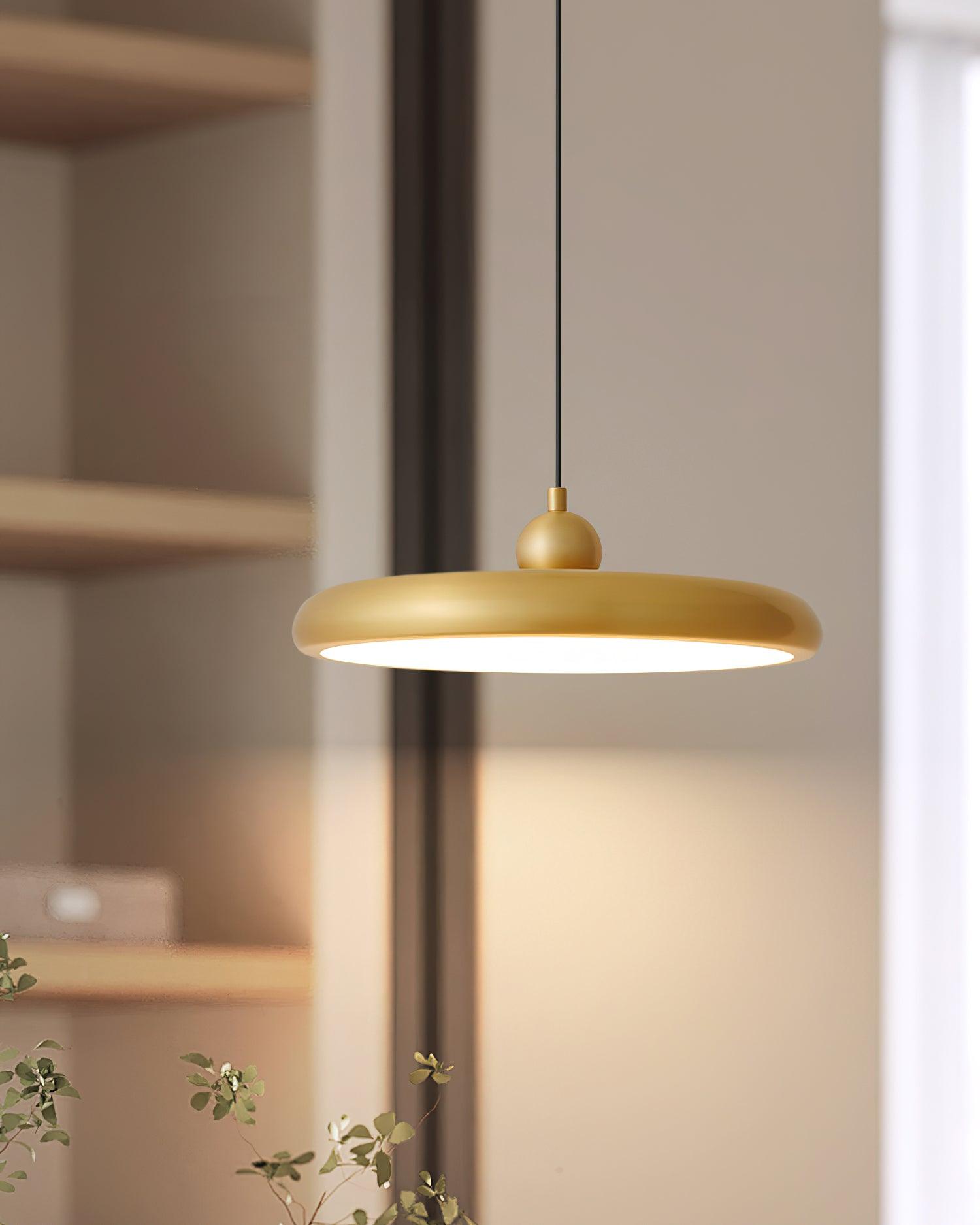 Thin Disc Pendant Lamp – Vakkerlight