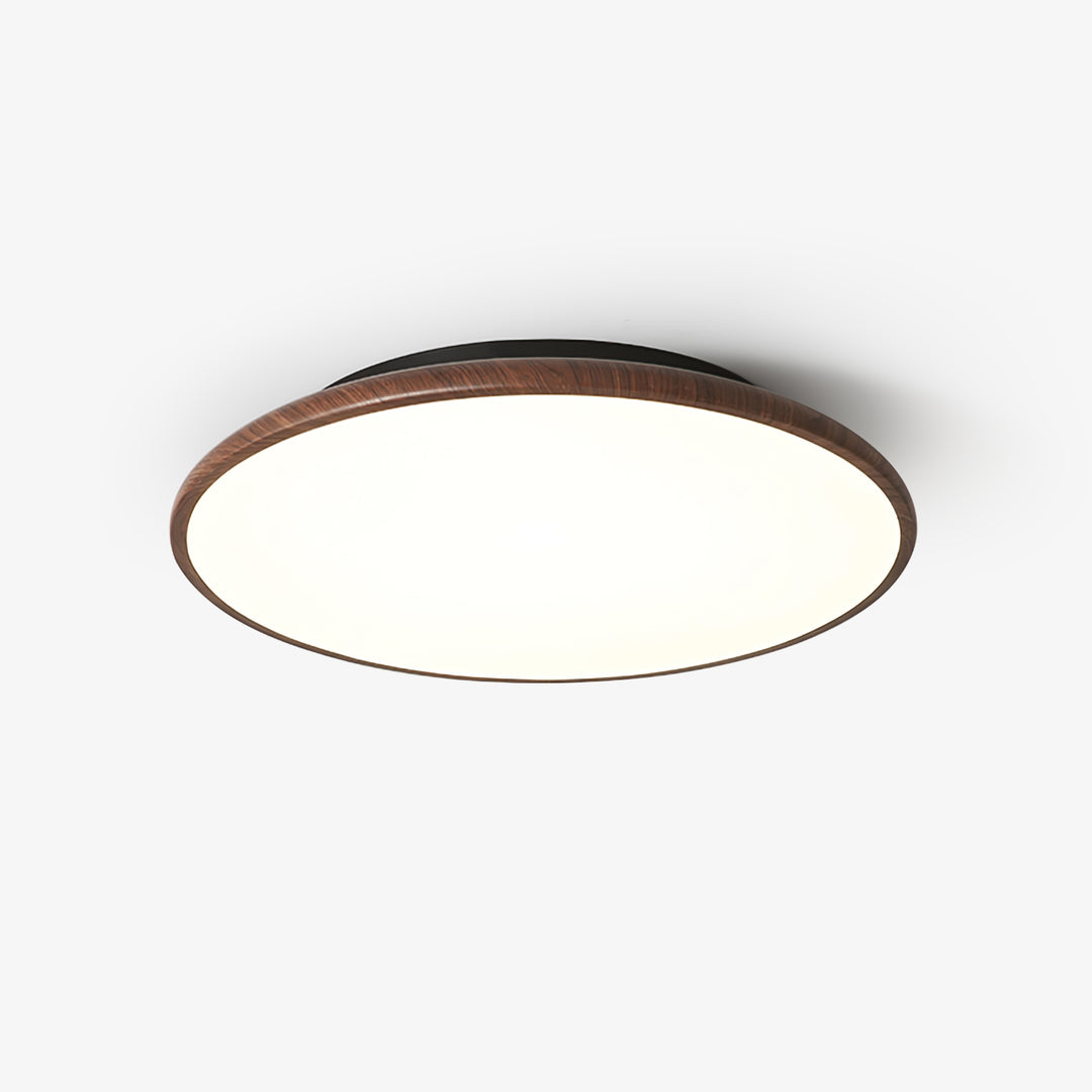 Thin Geometry Shape Ceiling Lamp - Vakkerlight