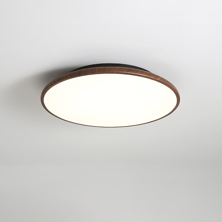 Thin Geometry Shape Ceiling Lamp - Vakkerlight