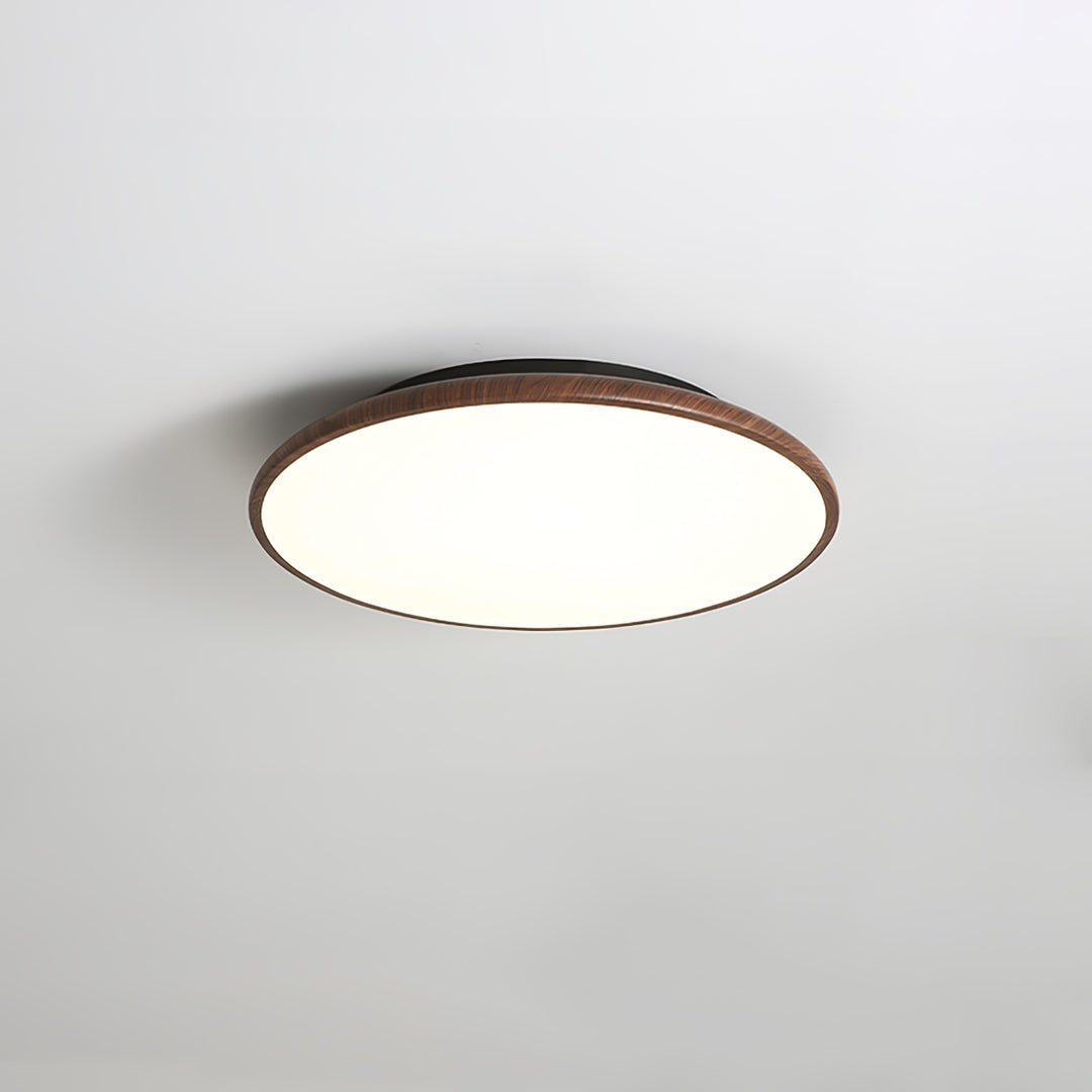 Thin Geometry Shape Ceiling Lamp - Vakkerlight