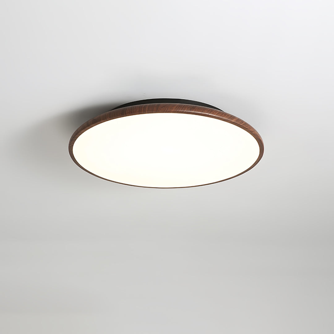 Thin Geometry Shape Ceiling Lamp - Vakkerlight