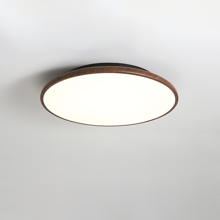 Thin Geometry Shape Ceiling Lamp - Vakkerlight