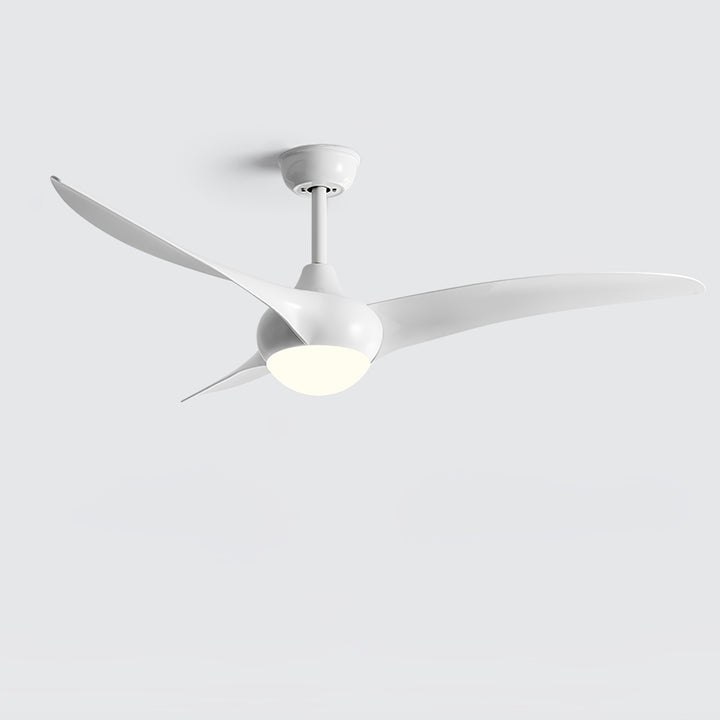 Traditional Ceiling Fan Light - Vakkerlight