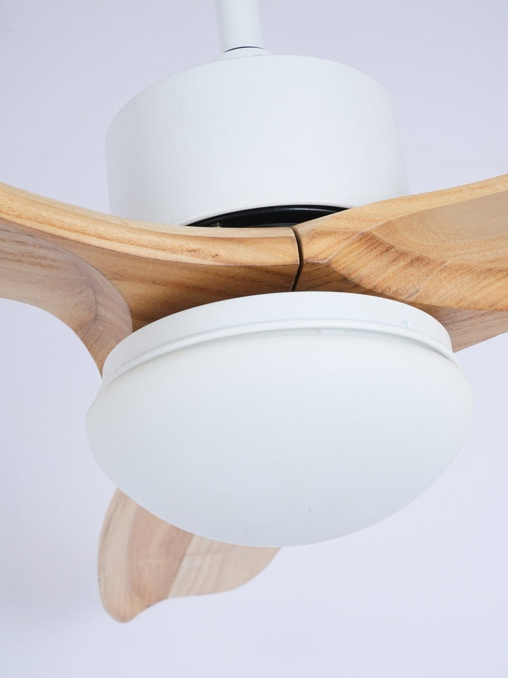 Harborough 3 Ceiling Fan Light - Vakkerlight