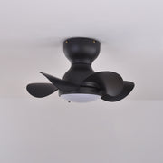 Lumière de ventilateur de plafond 18" Trailblazer