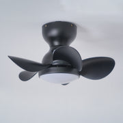 Trailblazer 18" Ceiling Fan Light