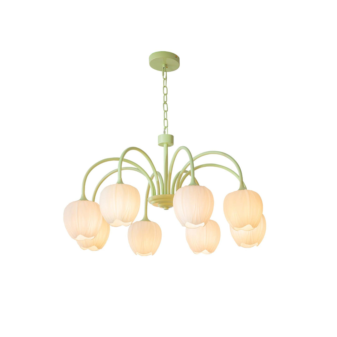 Tulip Matcha Chandelier - Vakkerlight