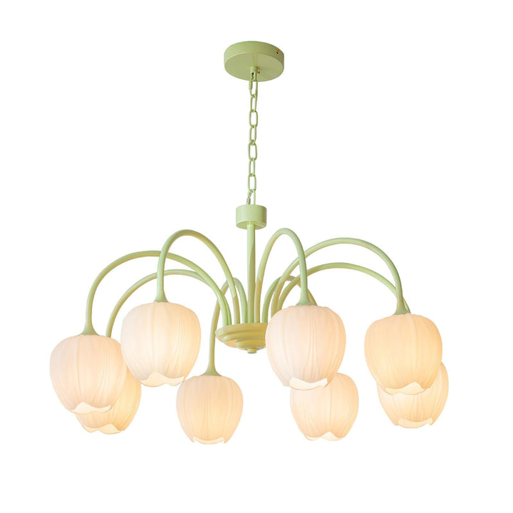 Tulip Matcha Chandelier - Vakkerlight