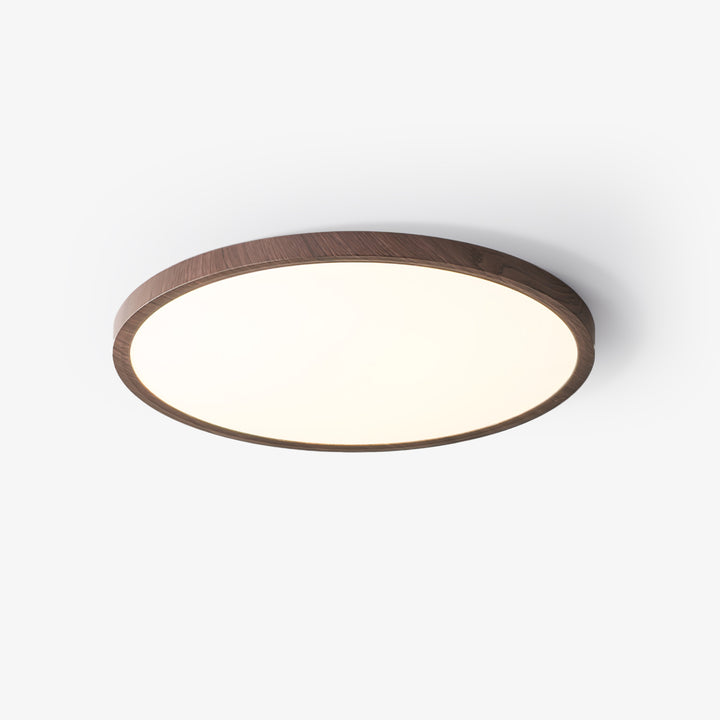 Ultrathin Round Ceiling Light