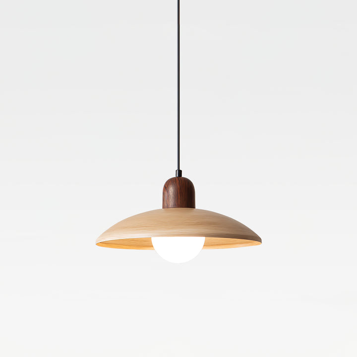 Valencia Pendant Light - Vakkerlight