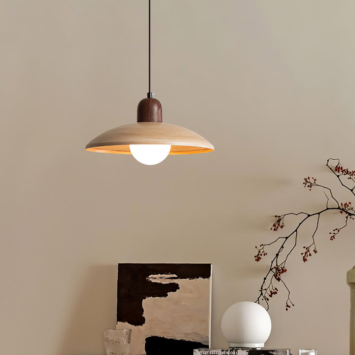 Valencia Pendant Light - Vakkerlight