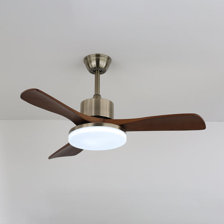 Vega Ceiling Fan Light - Vakkerlight