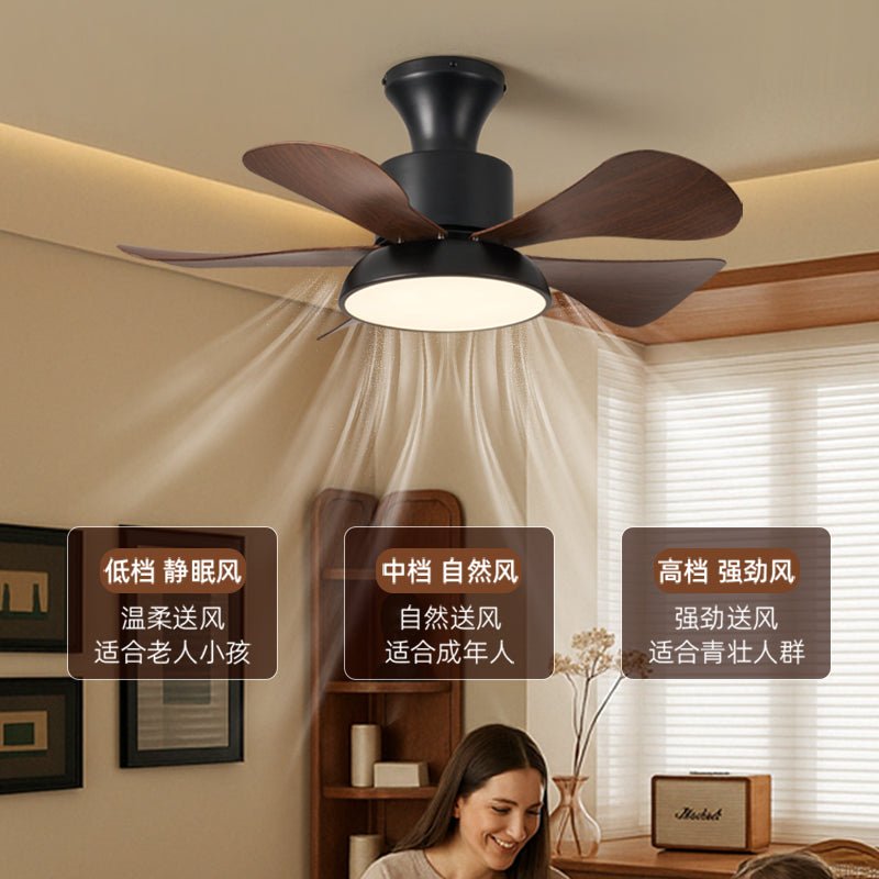 Velmora Ceiling Fan Light - Vakkerlight