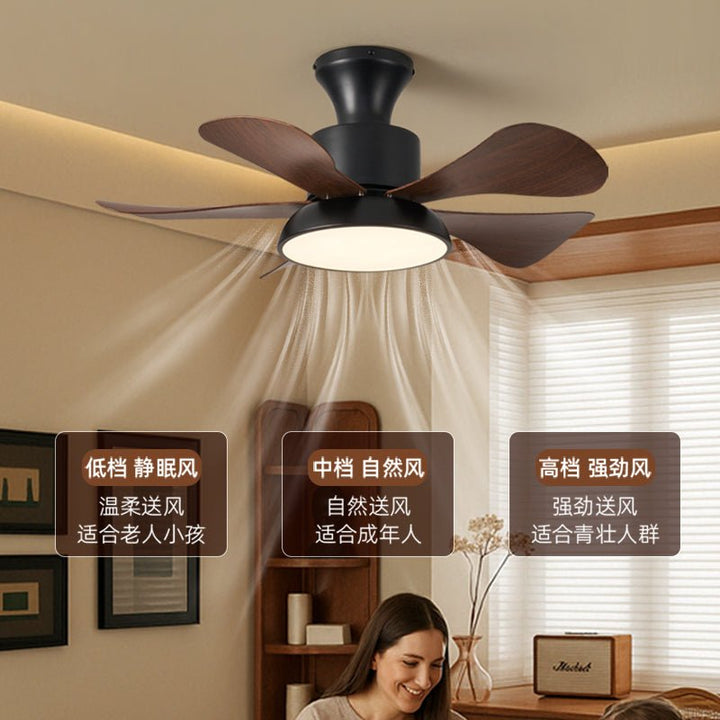 Velmora Ceiling Fan Light - Vakkerlight