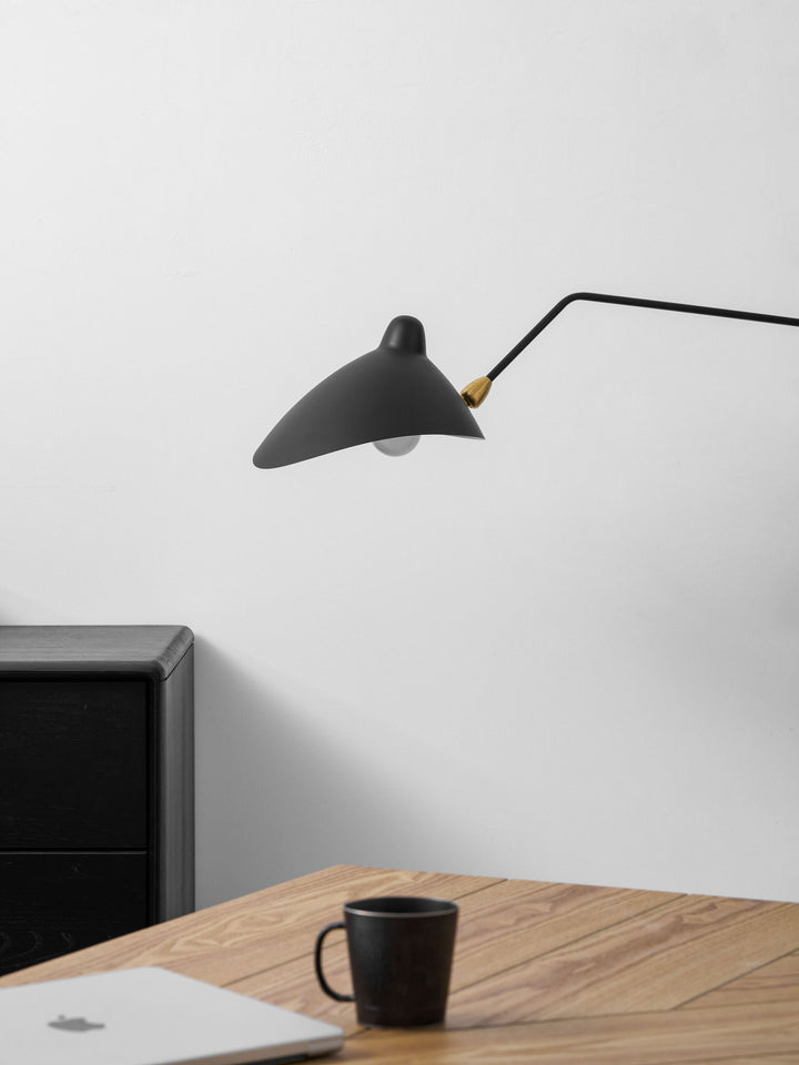 Versatile Arm Wall Sconce