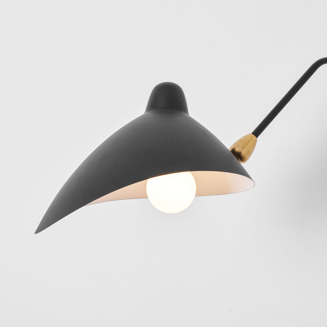 Versatile Arm Wall Sconce