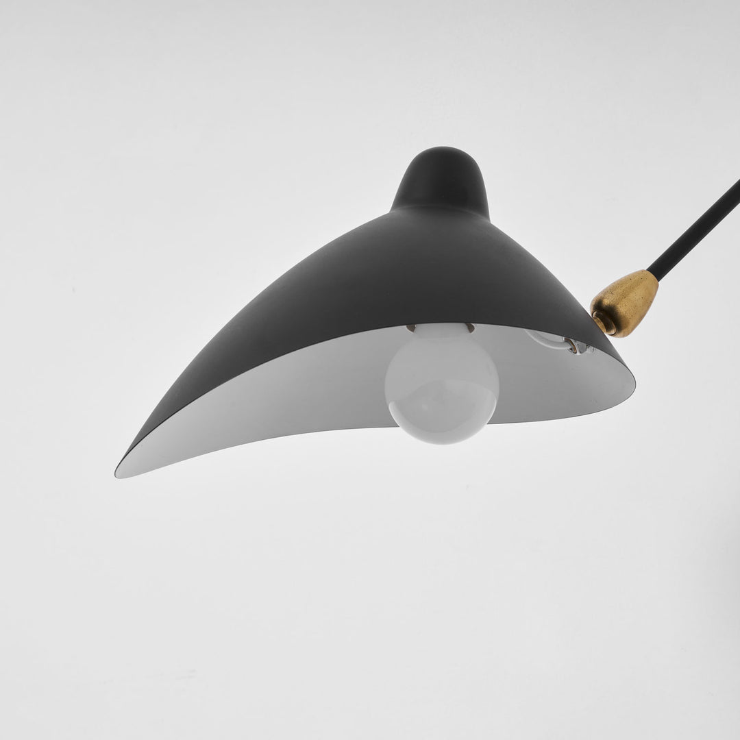 Versatile Arm Wall Sconce