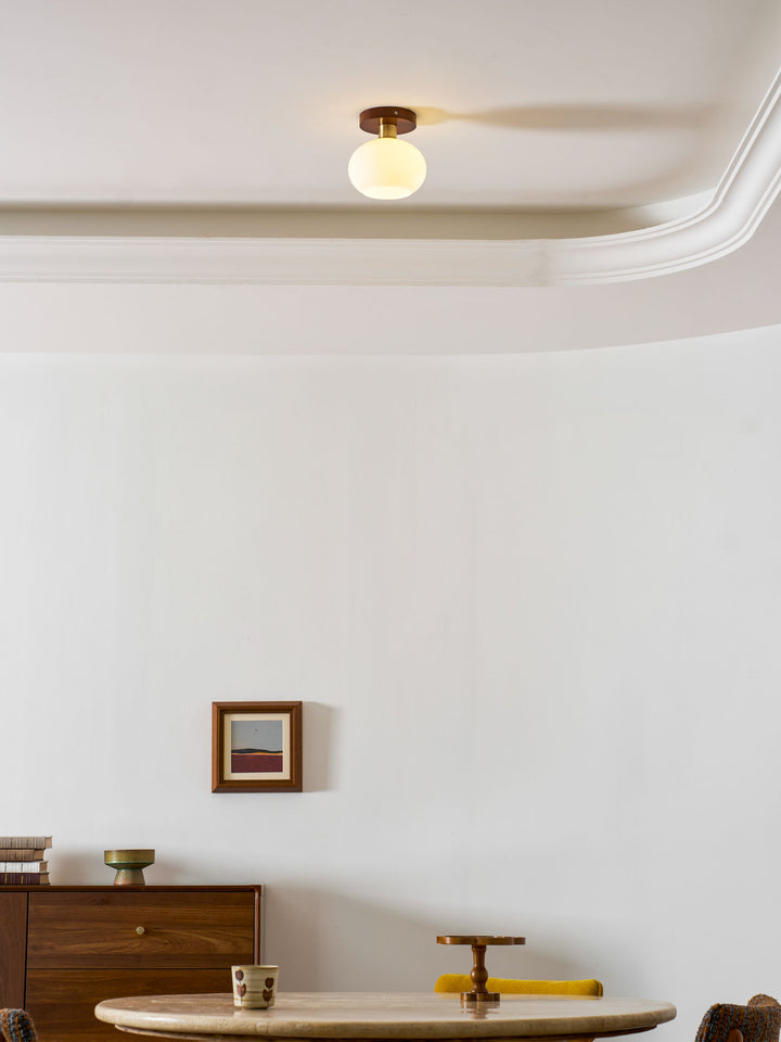 White Shell Ceiling Lamp - Vakkerlight