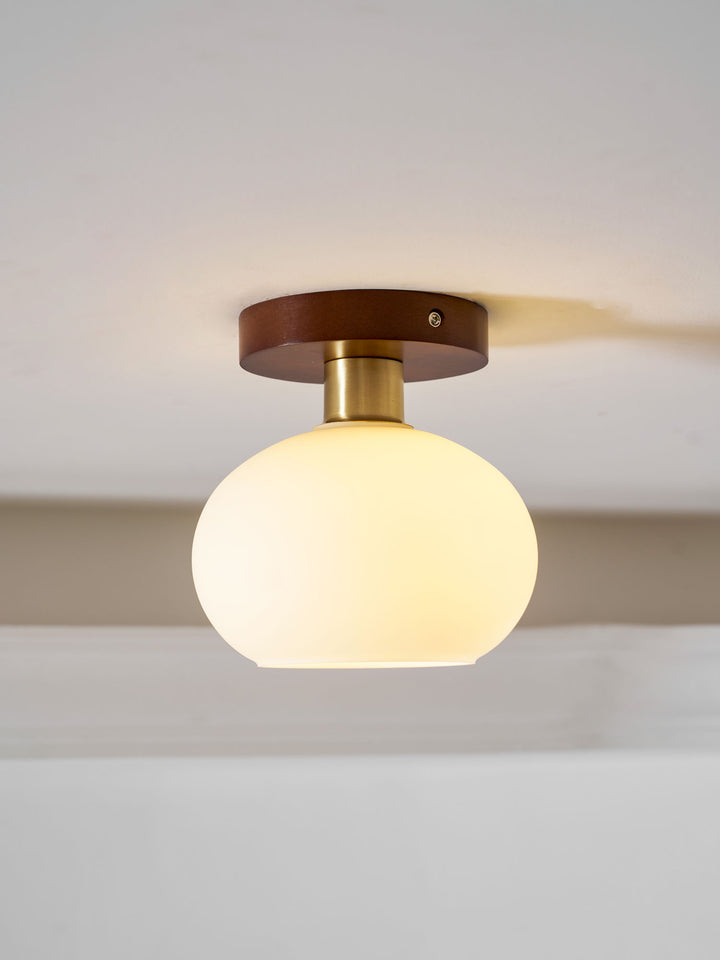 White Shell Ceiling Lamp - Vakkerlight