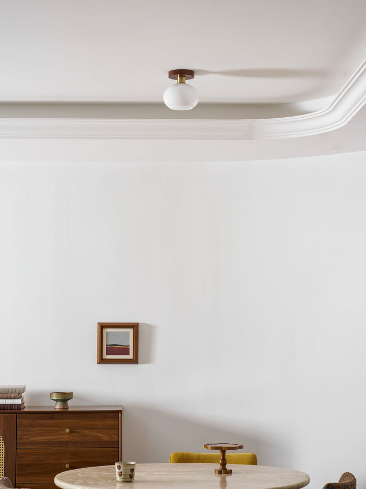 White Shell Ceiling Lamp - Vakkerlight