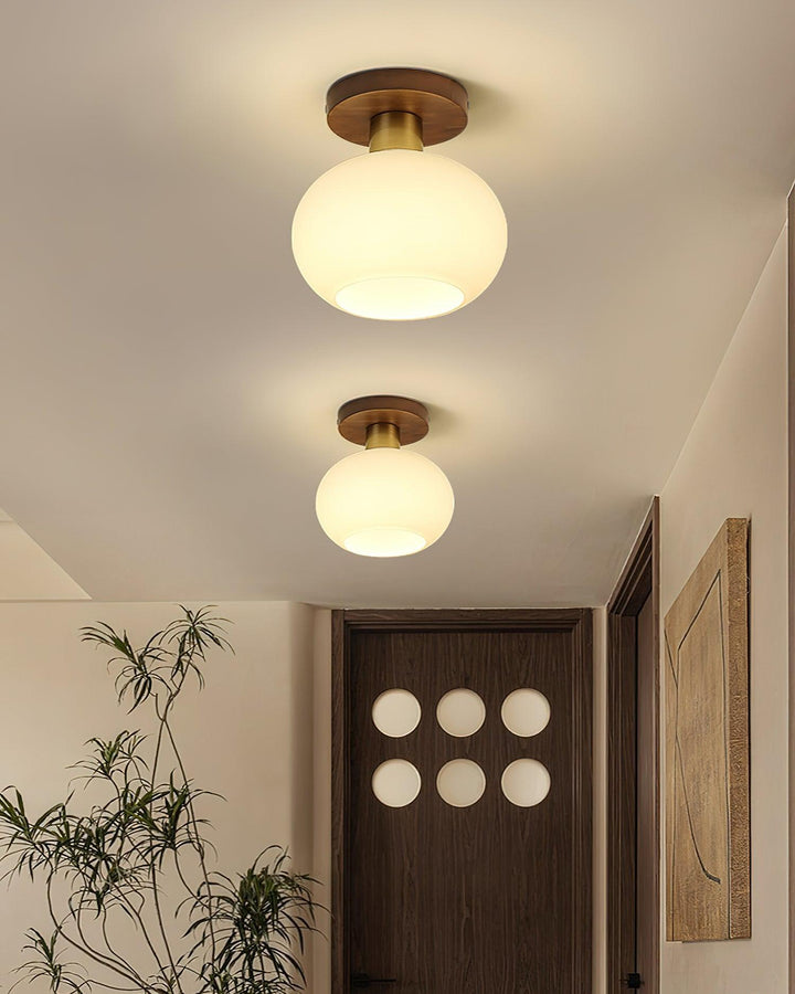 White Shell Ceiling Lamp - Vakkerlight