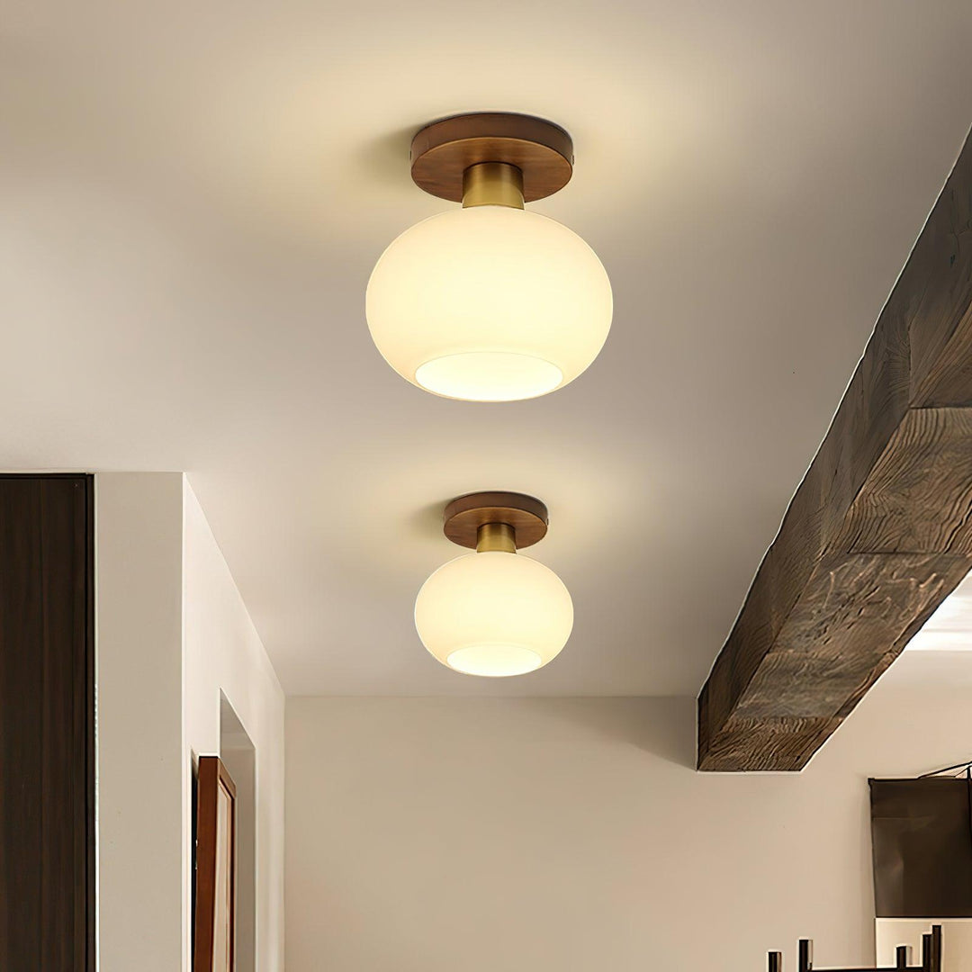 White Shell Ceiling Lamp - Vakkerlight