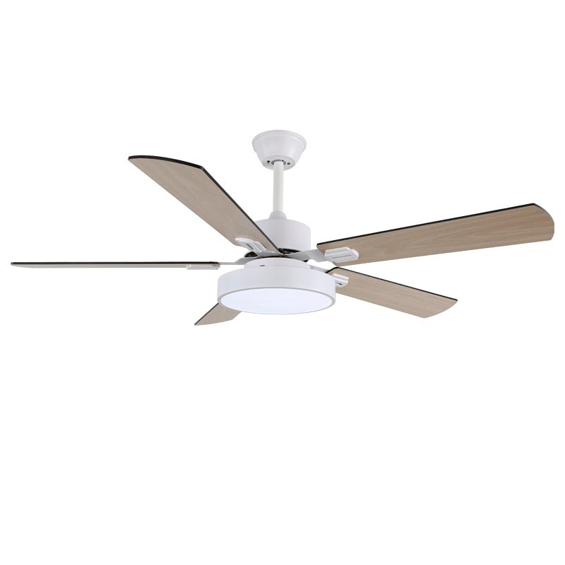 Zephyris Ceiling Fan Light - Vakkerlight