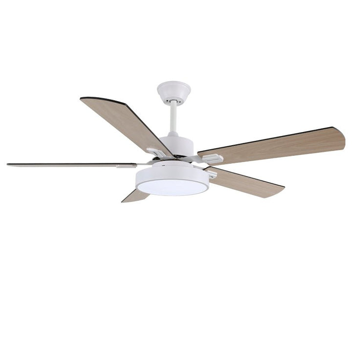 Zephyris Ceiling Fan Light - Vakkerlight
