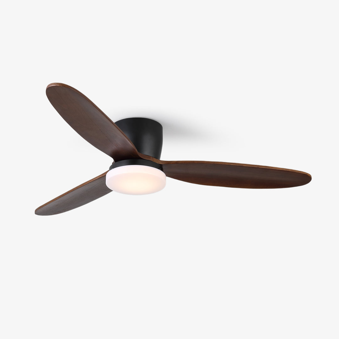 Nocturnus Ceiling Fan Light - Vakkerlight