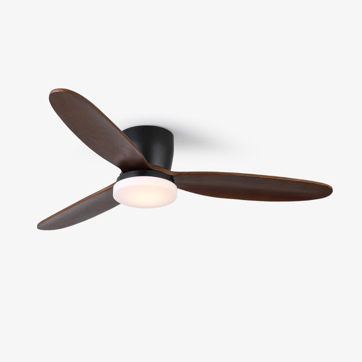 Nocturnus Ceiling Fan Light - Vakkerlight