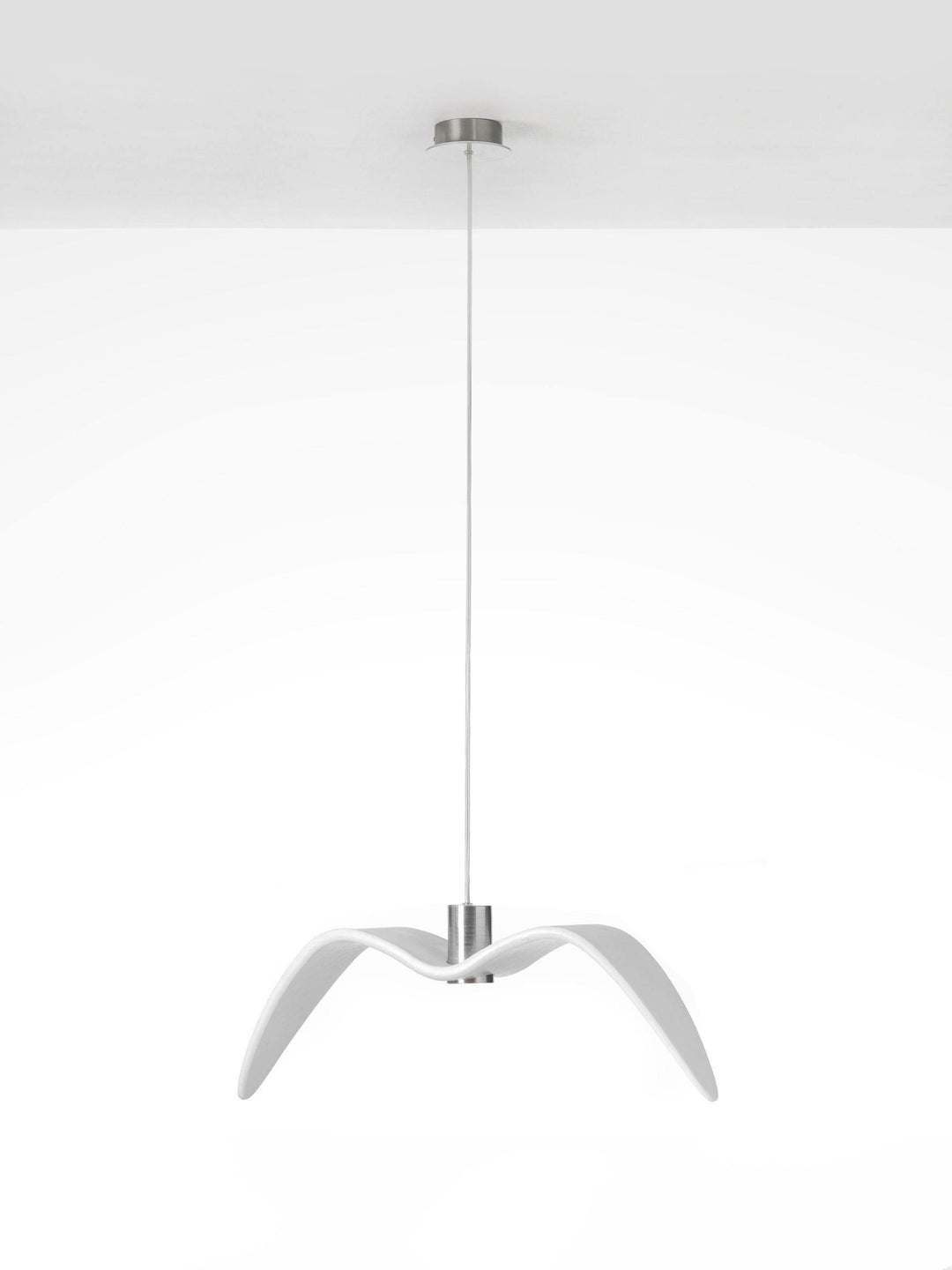 Night Birds Series Lamp - Vakkerlight