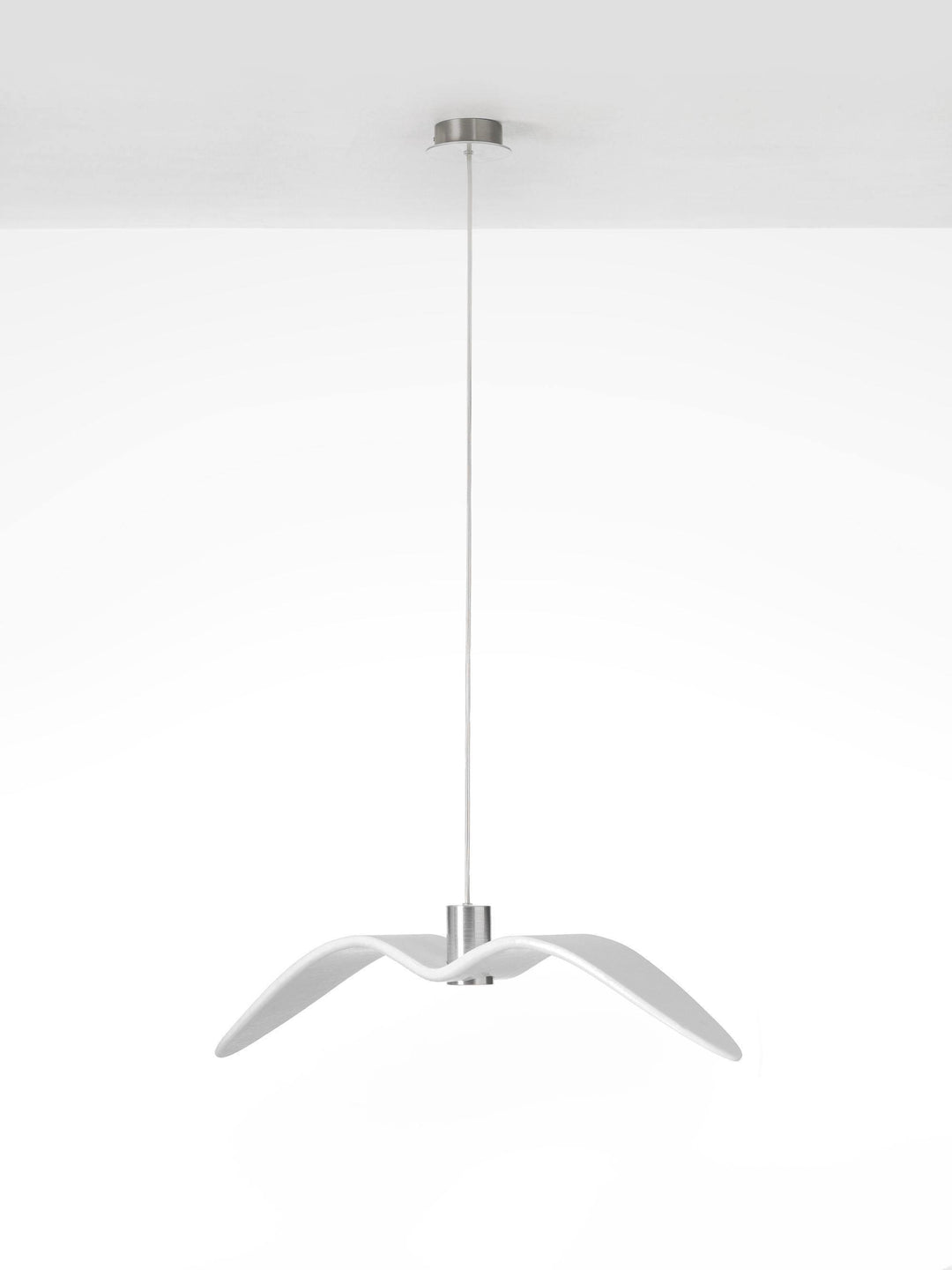 Night Birds Series Lamp - Vakkerlight