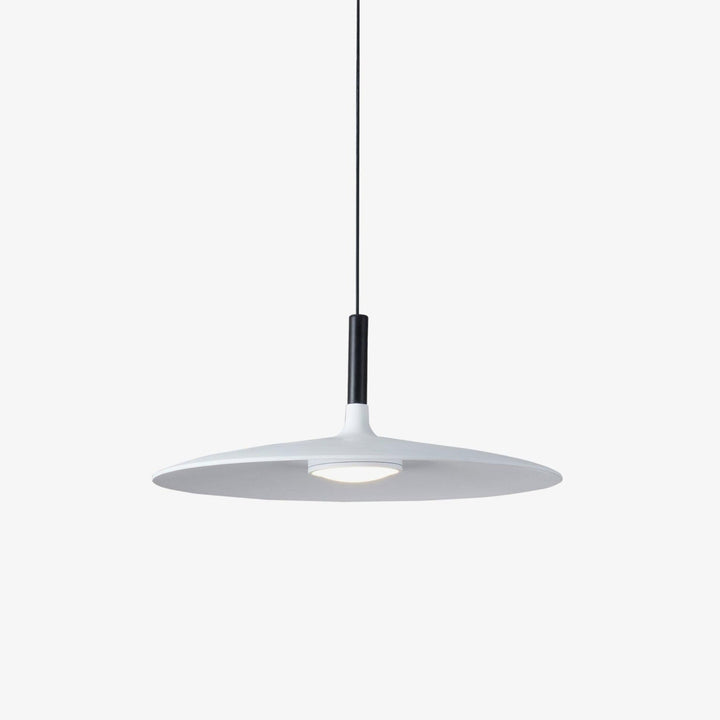 Aplomb Metal Pendant Lamp - Vakkerlight