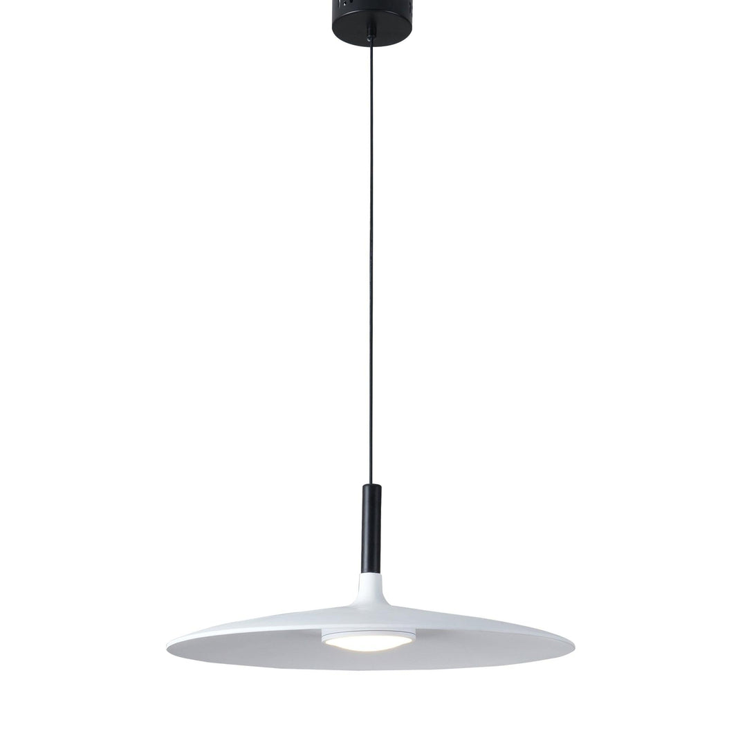 Aplomb Metal Pendant Lamp - Vakkerlight